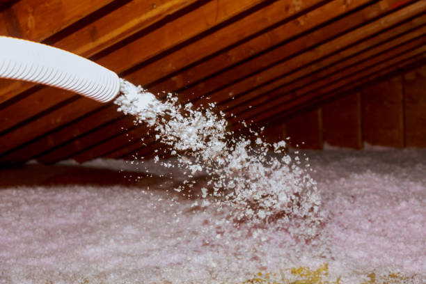 Best Eco-Friendly Insulation in Bodega Bay, CA